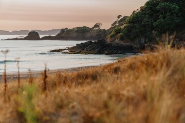 Obraz premium Coastal sunrise over a secluded beach. Gentle waves lap at the shore, framed by dark rocks and lush foliage. Golden hour light. Elliot Bay, Rawhiti, Northland, New Zealand