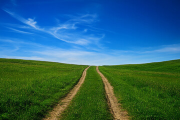 Fototapeta premium Aerial view of a winding road in a park with trees