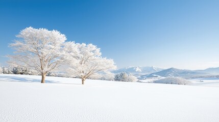 Obraz premium Winter landscape snow-covered trees, snowy field, mountain background, serene winter scene