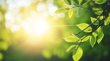 Obraz premium Fresh Green Leaves Glowing in Morning Light Perfect for Nature and Spring Themes : Generative AI