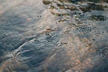 stones in the river, shallow depth of field, blurred background, soft focus