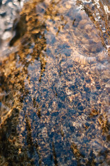 Abstract motion blur of water in the mountain river. Natural background.