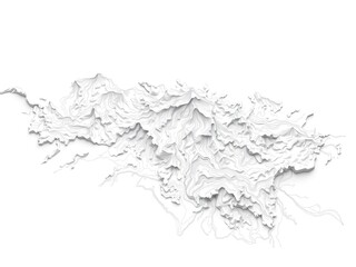 Naklejka premium Jalisco's Topography Unveiled: A Contour Map Extravaganza
