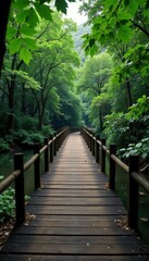 Obraz premium Weathered wooden bridge spanning a murky river in the midst of a dense forest, darkness, greens, wooden bridge