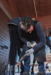 Farrier filing a horse hoof in a stable