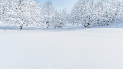 Snowy Winter Forest Landscape, Tranquil Scenery, Ideal for Background