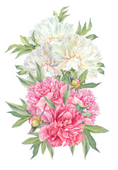 Watercolor bouquet with pink and milk peony summer flower isolated on white background. Floral plant with leaves. Clipart for florist or wedding invite celebration card. Wallpaper or wrapping