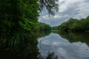 Summer forest river water landscape