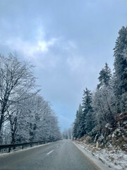 Fototapeta premium Frosty Road Surrounded by Winter Trees
