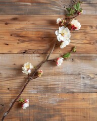 Fototapeta premium Delicate Flowers on Rustic Wood with Natural Light