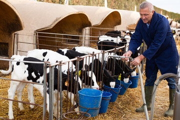 Caring male farmer in uniform giving milk to calves in plastic calf hutch on farm in countryside in autumn © JackF