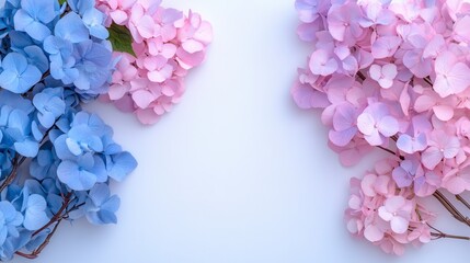 Fototapeta premium Pastel Pink and Blue Hydrangea Floral Arrangement on White