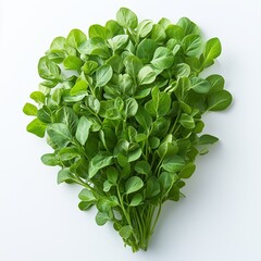 Perfect food images for supermarket catalogs promotional brochures or price tags