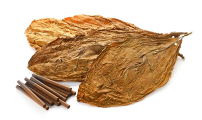 Dried tobacco leaf and cigarettes isolated on white
