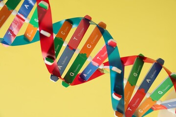 DNA structure model on yellow background, closeup