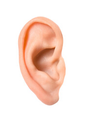 Woman on white background, closeup of ear