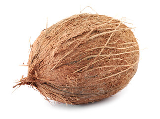 One whole coconut in shell isolated on white