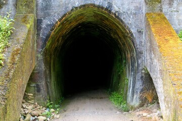 Fototapeta premium Dark Spooners Tunnel in a Lush Forest – Mysterious Historic Passageway