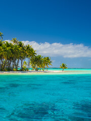 Obraz premium Bora Bora beach