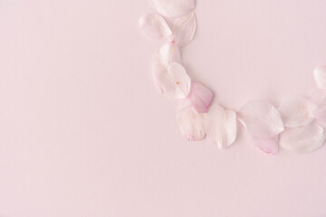 円状に並べられた桜の花びら