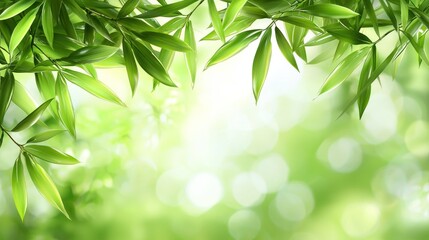 Obraz premium Lush Green Bamboo Leaves Against a Soft Blurred Background
