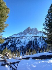 winter landscape in the mountains