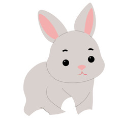 Cute animal rabbit illustration 