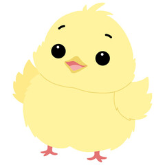 Cute animal chick illustration 