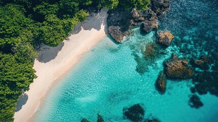A serene tropical ocean with clear turquoise waters and a sandy beach