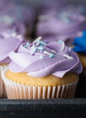 Vanilla-Lavender Cupcake with Lavender Frosting and Sprinkles. Close up.