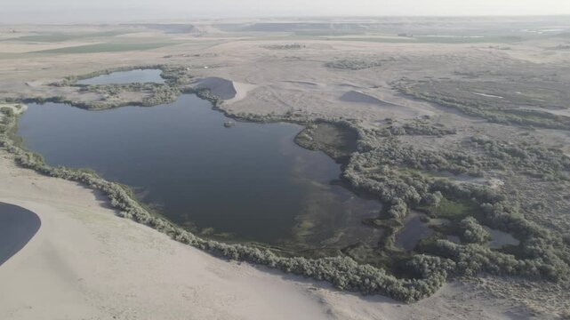 Bruneau Sand Dunes State Park, Idaho. High Quality Video.