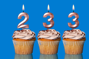 Birthday Cupcakes With Candles Lit Forming The Number 233.