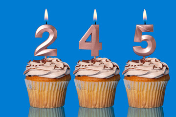 Birthday Cupcakes With Candles Lit Forming The Number 245.