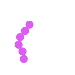 streptococcus pneumoniae bacteria flat style