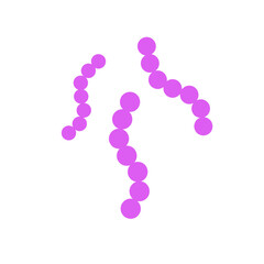 streptococcus pneumoniae bacteria flat style