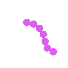 streptococcus pneumoniae bacteria flat style