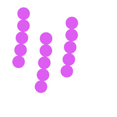 streptococcus pneumoniae bacteria flat style