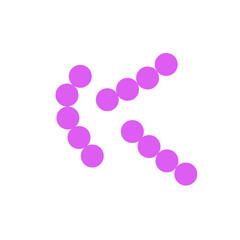 streptococcus pneumoniae bacteria flat style
