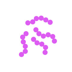 streptococcus pneumoniae bacteria flat style