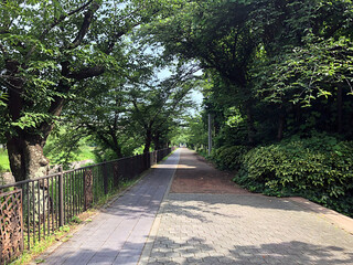 brick and stone path in the park, surrounded by lush green trees - Nagoya, Japan