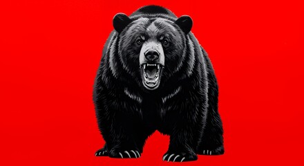 Fototapeta premium Growling Black Bear Illustration Against Red Background with Teeth Showing