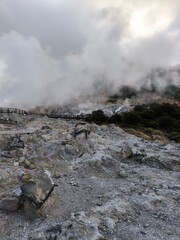 Sikidang Crater with its thick sulfur steam is a quite famous tourist attraction in Wonosobo, Indonesia