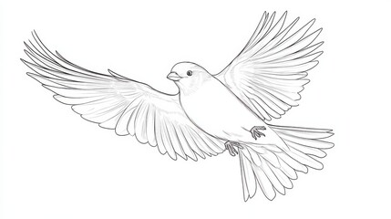 Elegant Bird in Flight with Detailed Wing Structure Illustration