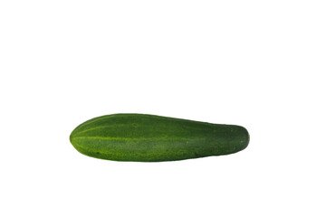 A single fresh green cucumber isolated on a white background.