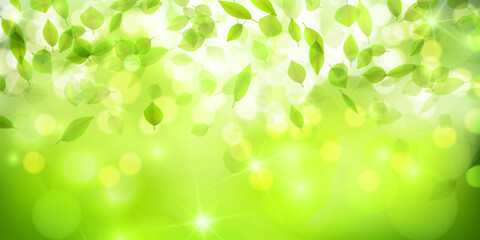 Fototapeta premium 新緑 葉 風景 背景