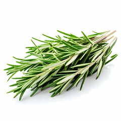 Fototapeta premium Fresh rosemary sprigs on white background; cooking ingredient