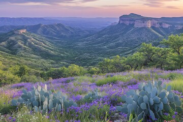 Enchanting Vista of Rolling Hills and Purple Wildflower Meadow at Twilight in West Texas