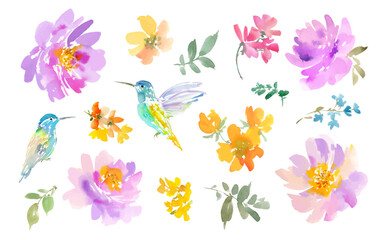 Vector clipart set of hummingbird painted in watercolor with spring flowers and wildflowers. Hand-drawn bird with peonies and a floral illustration collection. © Sawango