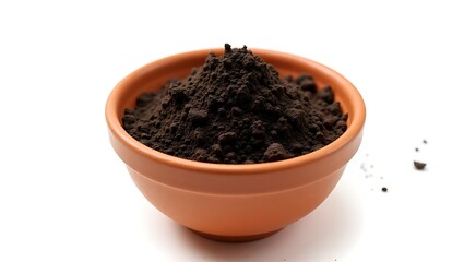 Terracotta bowl filled with rich soil - Potential for growth - Gardening content