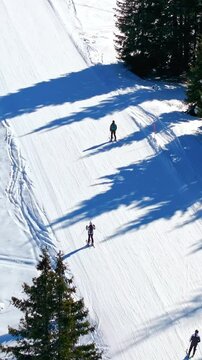 Aerial drone view of a ski resort in Col dei Baldi, Alleghe, in the Dolomites, Italy in daylight. Vertical